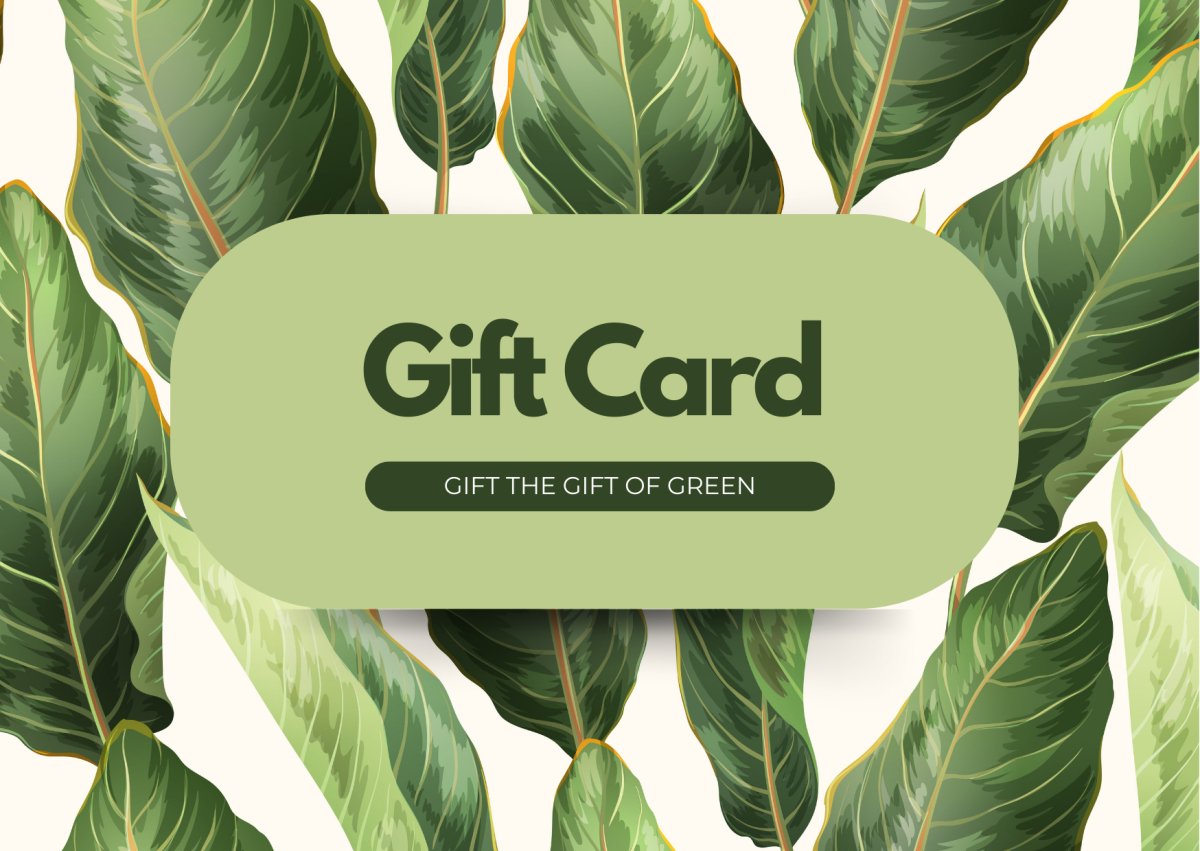 Happy Roots Digital Gift Card - Happy Roots